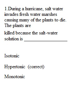 Module 4 Lab Report